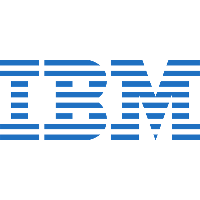 IBM icon